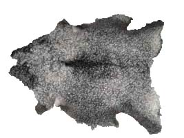 lamskinn