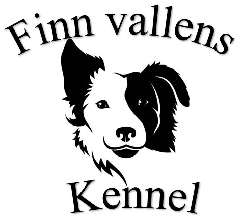 Finn-Vallens Kennel