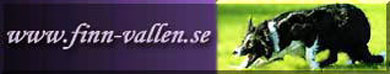 Finn-Vallens Kennel